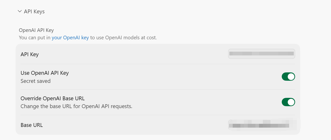 API Key 设置