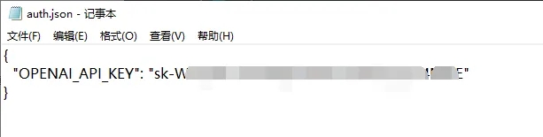 Codex 设置截图