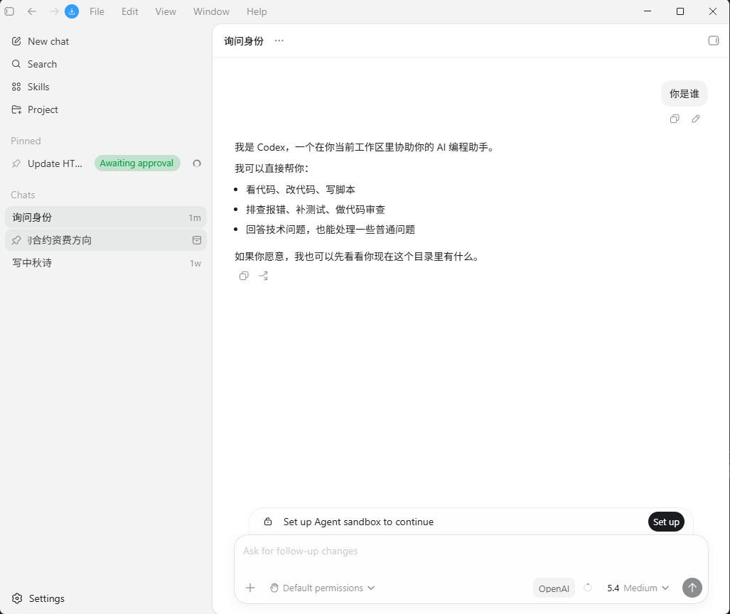 Codex 设置截图